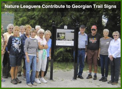 Trail Signs